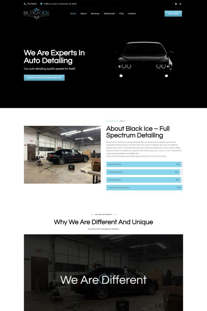 Black Ice Website Design