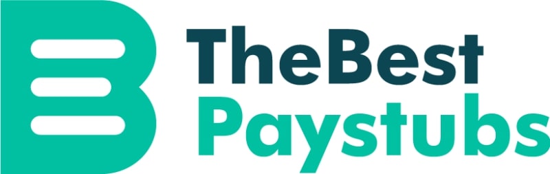 The Best Paystubs, Branding, Website Design